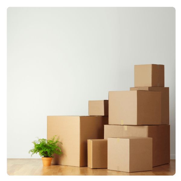 Inicio
