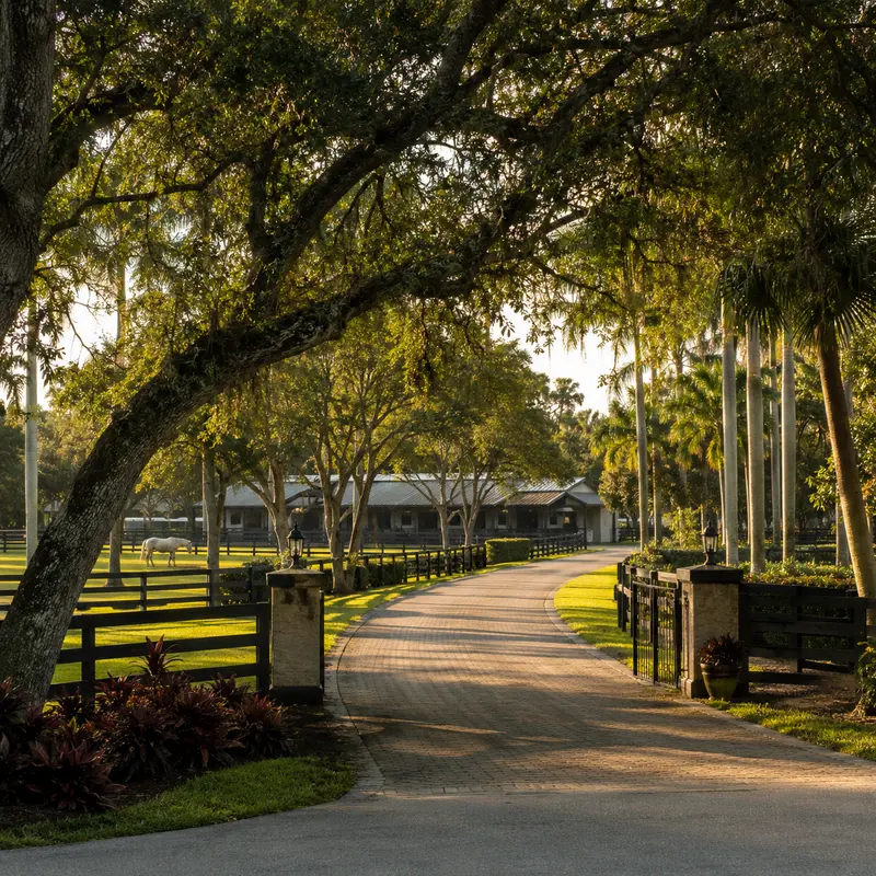 Comprar en Southwest Ranches — Yilena Mendoza, Realtor de las fincas