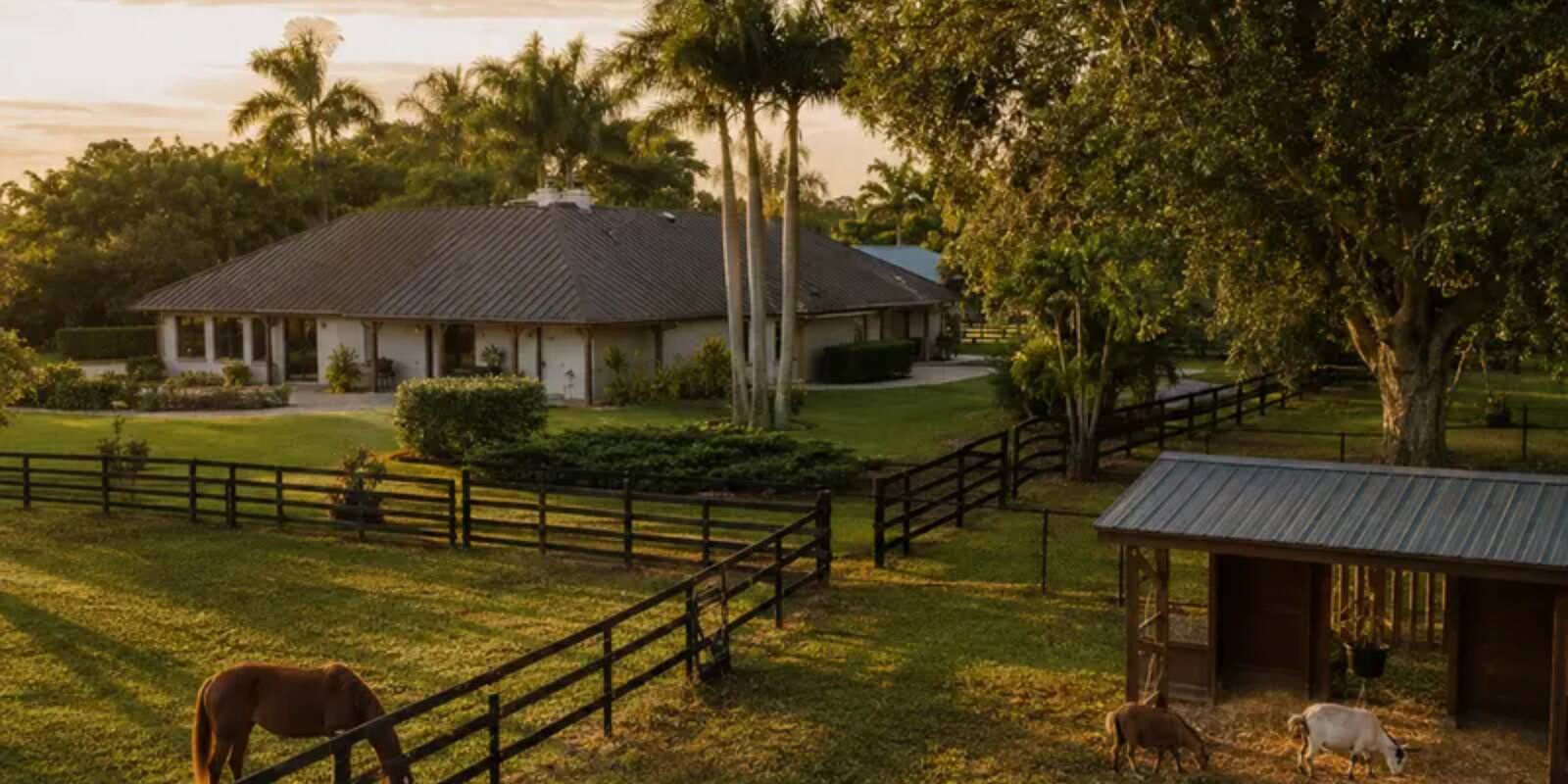 Caballos en una finca cercada del sur de Florida